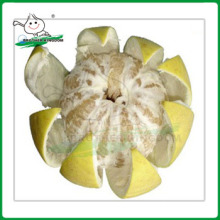 New crop fresh honey pomelo from Brother Kingdom